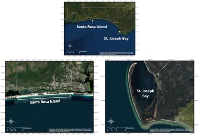 Variation in Species Composition, Size and Fitness of Two Multi-Species Sea Turtle Assemblages Using Different Neritic Habitats